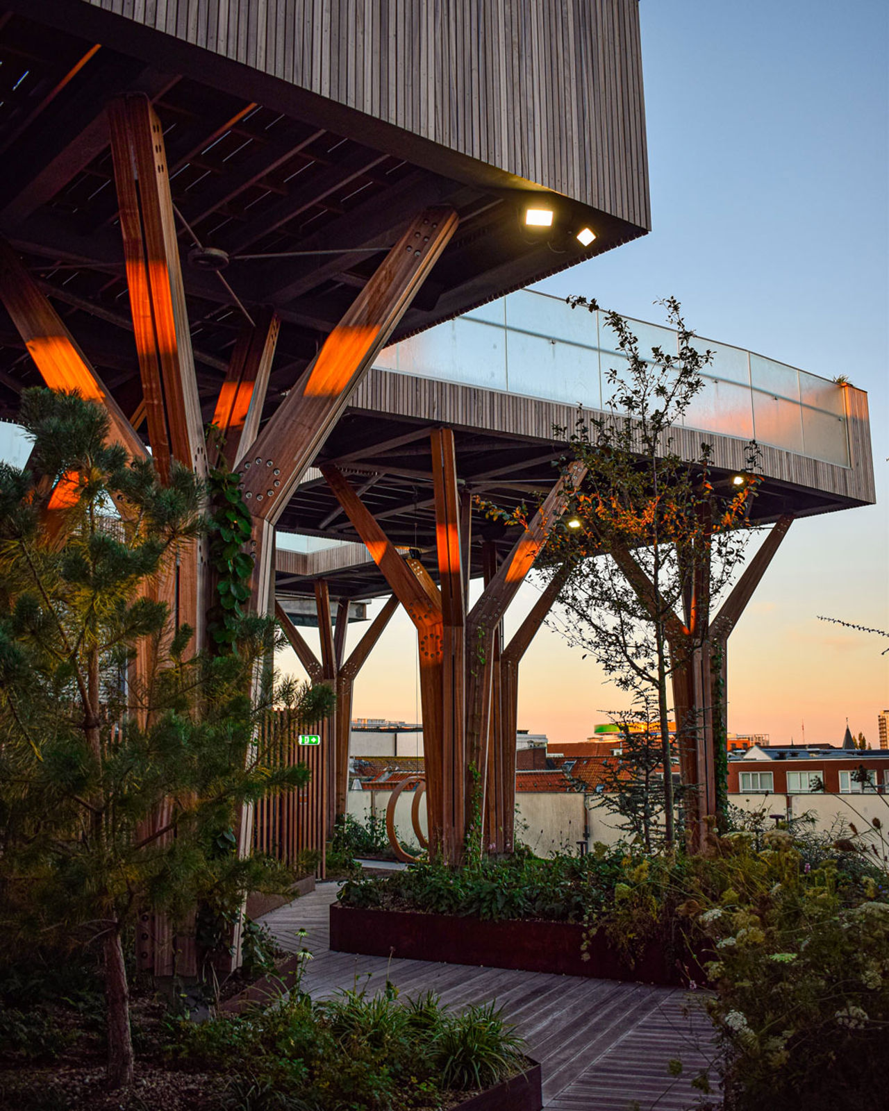 Roofgarden 2